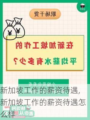 新加坡工作的薪资待遇,新加坡工作的薪资待遇怎么样