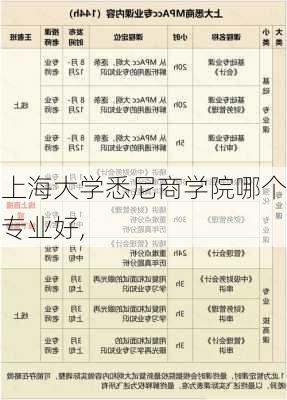 上海大学悉尼商学院哪个专业好,