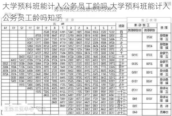 大学预科班能计入公务员工龄吗,大学预科班能计入公务员工龄吗知乎