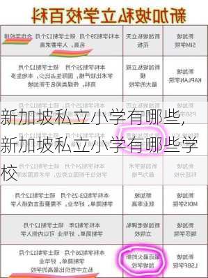 新加坡私立小学有哪些,新加坡私立小学有哪些学校