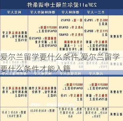 爱尔兰留学要什么条件,爱尔兰留学要什么条件才能入籍