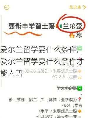 爱尔兰留学要什么条件,爱尔兰留学要什么条件才能入籍