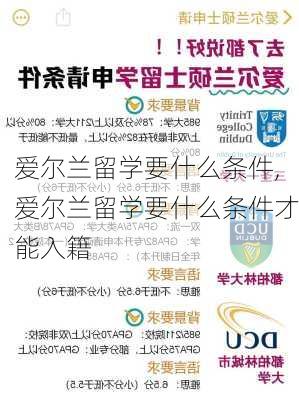 爱尔兰留学要什么条件,爱尔兰留学要什么条件才能入籍