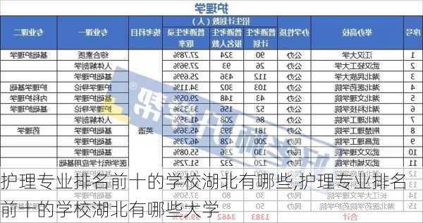 护理专业排名前十的学校湖北有哪些,护理专业排名前十的学校湖北有哪些大学