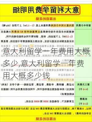 意大利留学一年费用大概多少,意大利留学一年费用大概多少钱