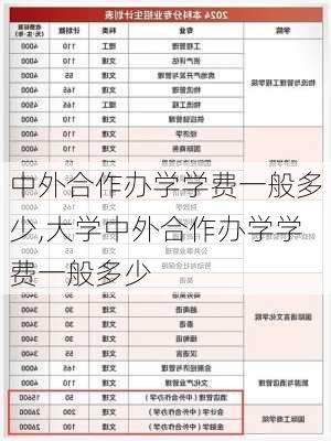 中外合作办学学费一般多少,大学中外合作办学学费一般多少