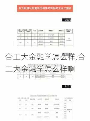 合工大金融学怎么样,合工大金融学怎么样啊