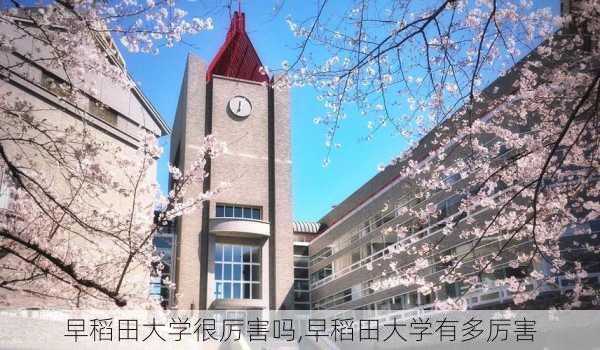 早稻田大学很厉害吗,早稻田大学有多厉害