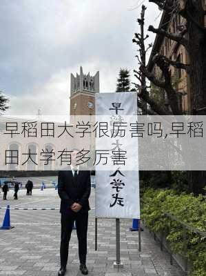 早稻田大学很厉害吗,早稻田大学有多厉害