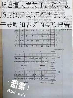 斯坦福大学关于鼓励和表扬的实验,斯坦福大学关于鼓励和表扬的实验报告