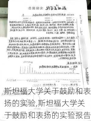 斯坦福大学关于鼓励和表扬的实验,斯坦福大学关于鼓励和表扬的实验报告