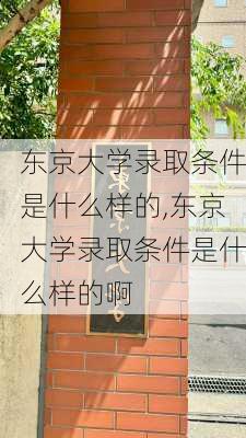 东京大学录取条件是什么样的,东京大学录取条件是什么样的啊