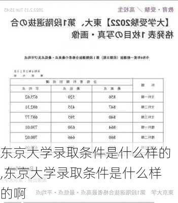 东京大学录取条件是什么样的,东京大学录取条件是什么样的啊