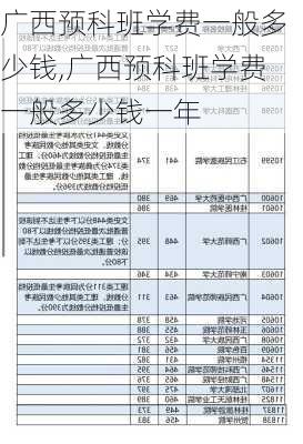 广西预科班学费一般多少钱,广西预科班学费一般多少钱一年