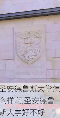 圣安德鲁斯大学怎么样啊,圣安德鲁斯大学好不好