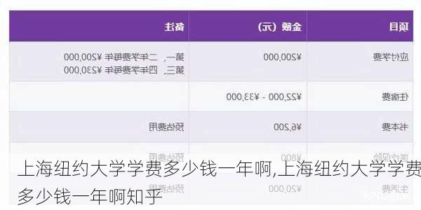 上海纽约大学学费多少钱一年啊,上海纽约大学学费多少钱一年啊知乎