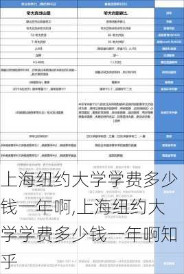 上海纽约大学学费多少钱一年啊,上海纽约大学学费多少钱一年啊知乎