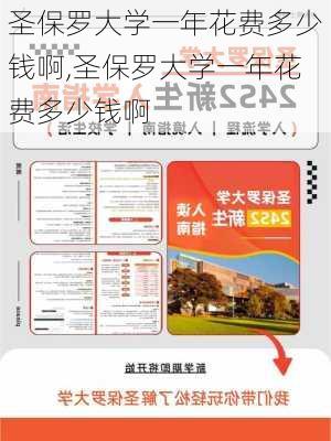 圣保罗大学一年花费多少钱啊,圣保罗大学一年花费多少钱啊