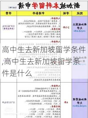 高中生去新加坡留学条件,高中生去新加坡留学条件是什么