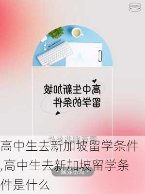 高中生去新加坡留学条件,高中生去新加坡留学条件是什么