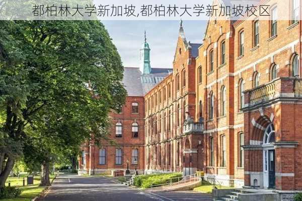 都柏林大学新加坡,都柏林大学新加坡校区