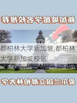 都柏林大学新加坡,都柏林大学新加坡校区