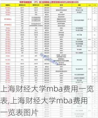 上海财经大学mba费用一览表,上海财经大学mba费用一览表图片