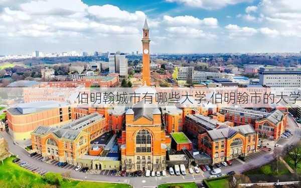 伯明翰城市有哪些大学,伯明翰市的大学