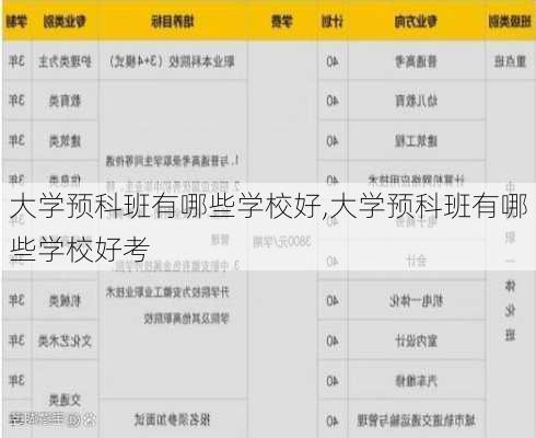 大学预科班有哪些学校好,大学预科班有哪些学校好考