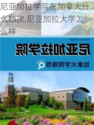 尼亚加拉学院在加拿大什么档次,尼亚加拉大学怎么样