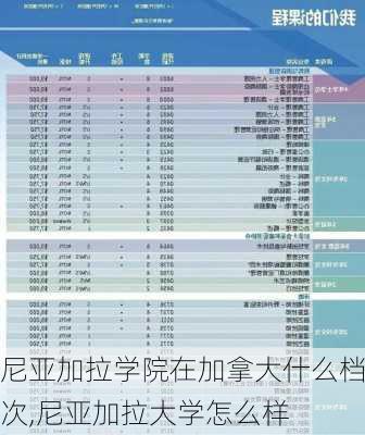 尼亚加拉学院在加拿大什么档次,尼亚加拉大学怎么样