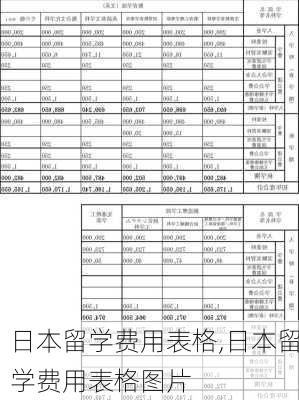 日本留学费用表格,日本留学费用表格图片