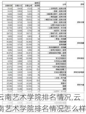 云南艺术学院排名情况,云南艺术学院排名情况怎么样