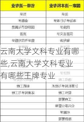 云南大学文科专业有哪些,云南大学文科专业有哪些王牌专业