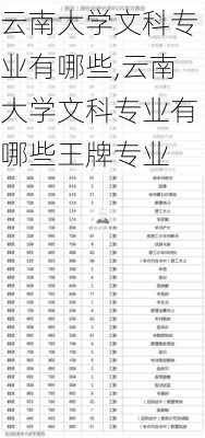 云南大学文科专业有哪些,云南大学文科专业有哪些王牌专业