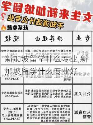 新加坡留学什么专业,新加坡留学什么专业好