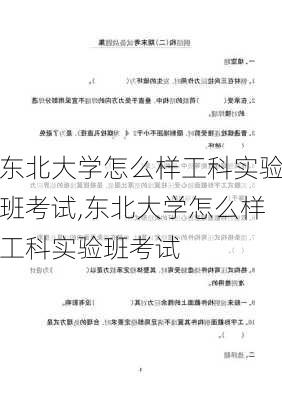 东北大学怎么样工科实验班考试,东北大学怎么样工科实验班考试