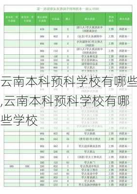 云南本科预科学校有哪些,云南本科预科学校有哪些学校