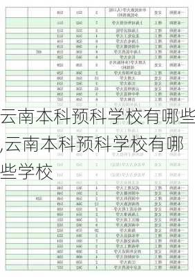 云南本科预科学校有哪些,云南本科预科学校有哪些学校