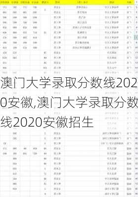 澳门大学录取分数线2020安徽,澳门大学录取分数线2020安徽招生