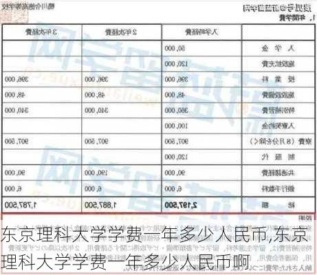 东京理科大学学费一年多少人民币,东京理科大学学费一年多少人民币啊