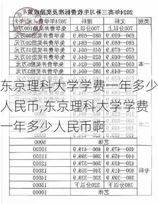 东京理科大学学费一年多少人民币,东京理科大学学费一年多少人民币啊