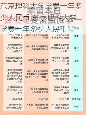 东京理科大学学费一年多少人民币,东京理科大学学费一年多少人民币啊