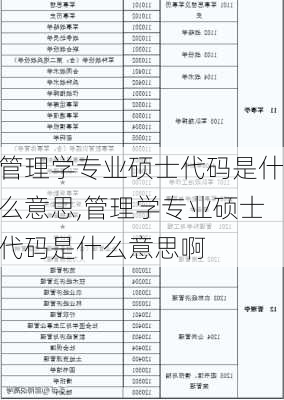 管理学专业硕士代码是什么意思,管理学专业硕士代码是什么意思啊