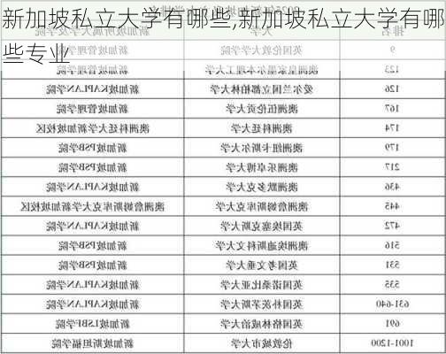 新加坡私立大学有哪些,新加坡私立大学有哪些专业