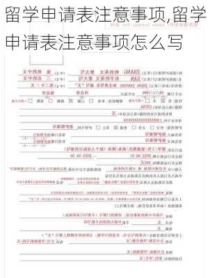 留学申请表注意事项,留学申请表注意事项怎么写