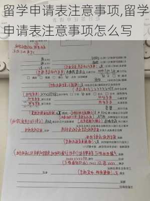 留学申请表注意事项,留学申请表注意事项怎么写