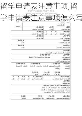 留学申请表注意事项,留学申请表注意事项怎么写