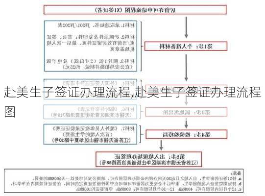 赴美生子签证办理流程,赴美生子签证办理流程图