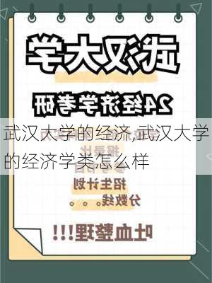 武汉大学的经济,武汉大学的经济学类怎么样